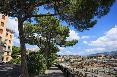 MULTILOCALE A GENOVA