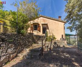 Villa singola Monte Argentario [577VRG] (Porto San