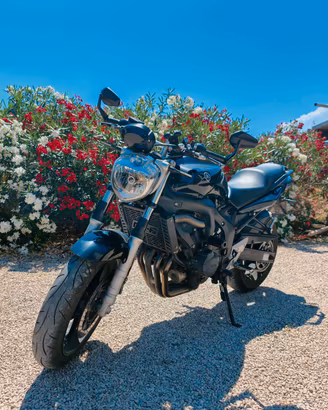 FZ6 S1