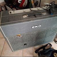 amplificatore basso Eko