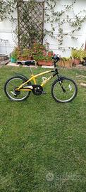 Bicicletta Ragazzo/a