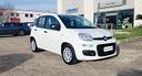 fiat-panda-1-0-firefly-hybrid-s-s-70cv
