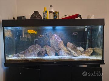 Acquario Juwel Rio 240 completo + mobile + filtro