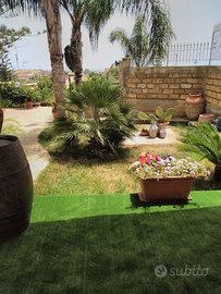 Monolocale per lavoratori