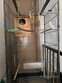 Gabbia per tutti i tipi di uccelli