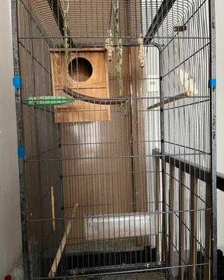 Gabbia per tutti i tipi di uccelli