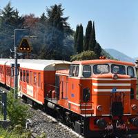 cofanetto treno dei sapori