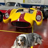 Mini Cooper SD Countryman 2.0 ALL4