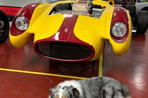 Mini Cooper SD Countryman 2.0 ALL4