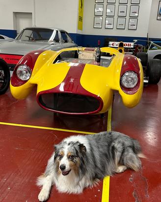 Mini Cooper SD Countryman 2.0 4x4 - LEGGERE BENE