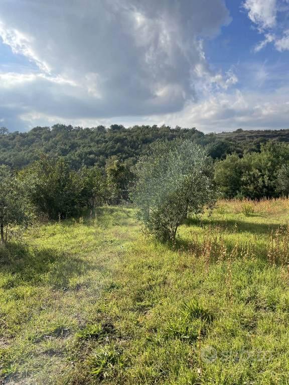 Rustico / Casale di 40 m² con 2 locali a Tuscania - Vista 3