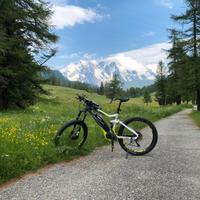Moutain bike di Marca Haibike