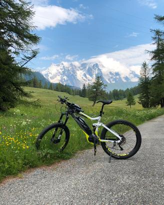 Mountain bike Ebike mtb elettrica