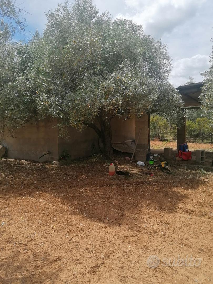 Terreno Agricolo - Vista 2