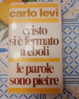 Libro Cristo si è fermato a Eboli