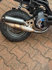 Giannelli sport pro 6 verticale