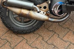 Giannelli sport pro 6 verticale