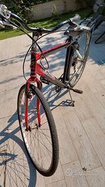 Bicicletta 28