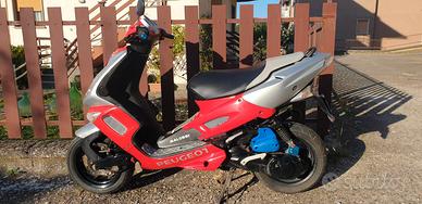 motorino peugeot