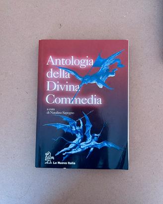 Libro Antologia della Divina Commedia