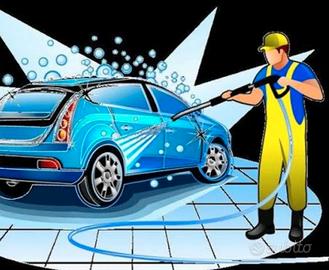 Lavagista auto