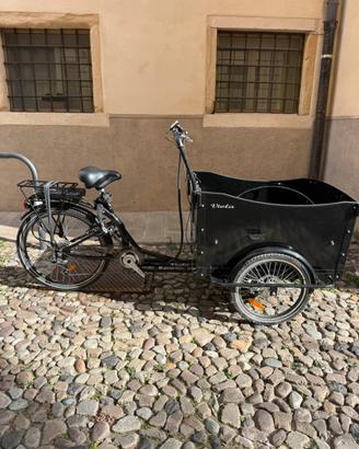 Bici cargo viola bike canguro