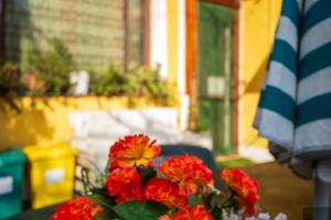 Casa vacanze Villacidro 35min da Cagliari,
