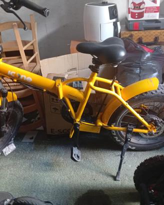 Bicicletta elettrica