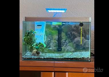 Acquario