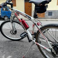 bicicletta bottecchia