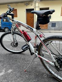bicicletta bottecchia