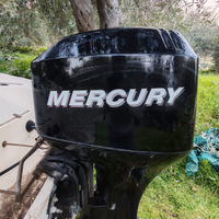 Fuoribordo mercury 40 60