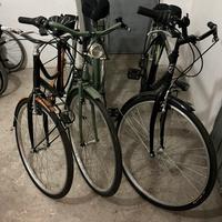 Biciclette da passeggio (bundle 3 bici)