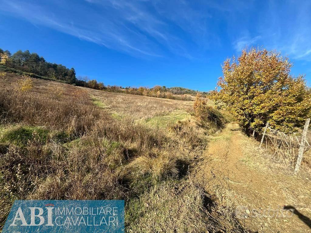 Rustico / Casale di 100000 m² con più di 5 locali - Altro