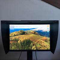 Eizo CG223W