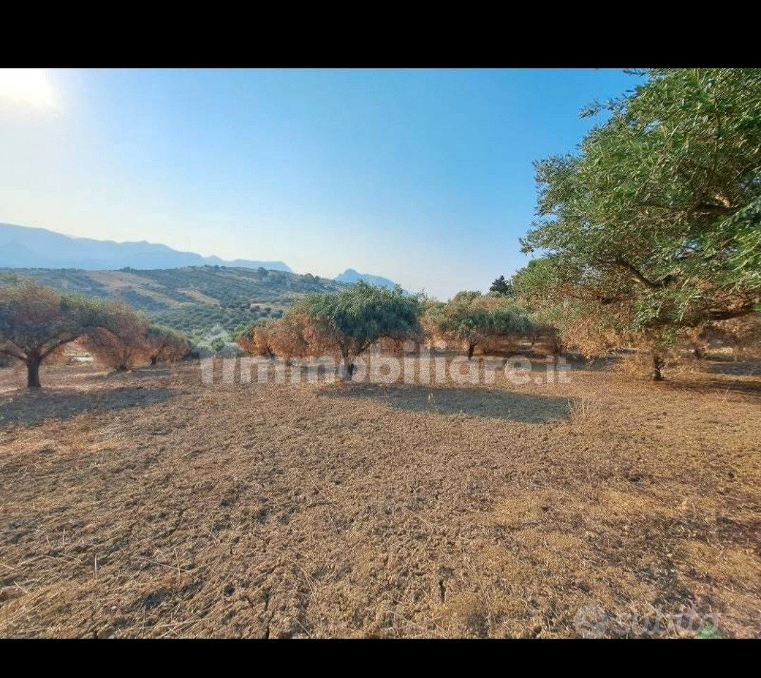 Terreno Agricolo - Vista 4