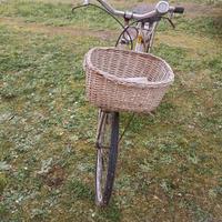 bici da donna 