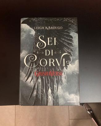 Libro sei di corvi.