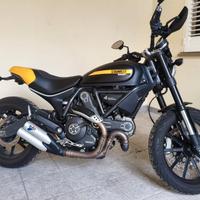 ducati scrambler 800