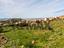 Immagine 11