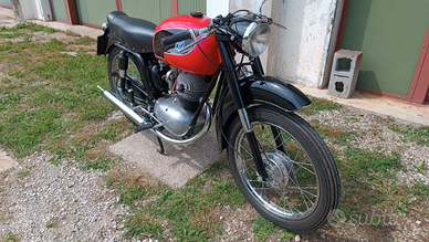 Mv 125 trl