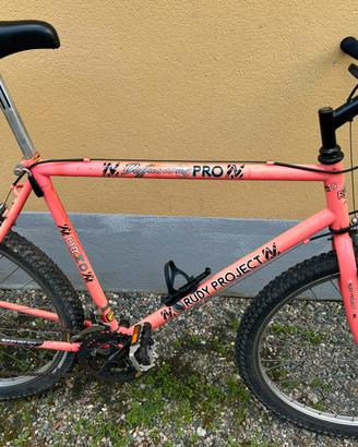 Mountain bike