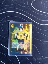 carta One piece bvb 