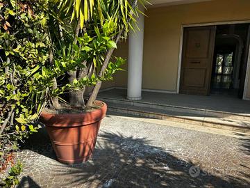 Soluzione indipendente