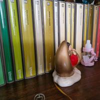 Collezione di 30  libri storici
