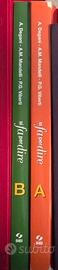 Lotto 10 Libri Misti