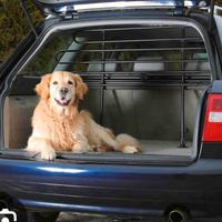 divisorio auto per cani 