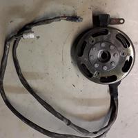 Volano e statore piaggio
