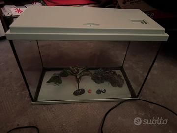 Acquario con accessori