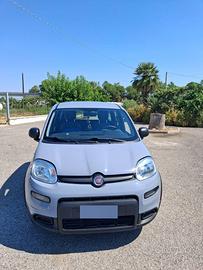 Fiat Panda 1.2 EasyPower GPL 69 CV - Unico proprie